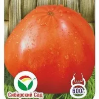 Купить семена Томат Сахарный бизон