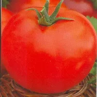 Купить семена Томат Санрайз Купить семена Томат Санрайз