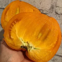 Купить семена томата Сердце Пустыни