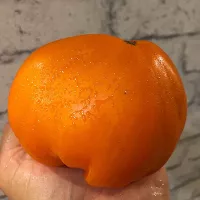 Купить семена томата Сердце Пустыни