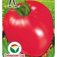 Купить семена томата Сибирский бройлер