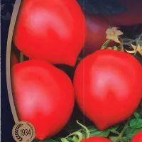 Купить семена Томат Скиф Купить семена Томат Скиф