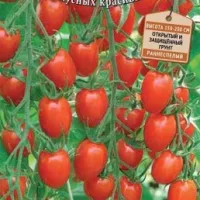 Купить семена Томат Сладкий фонтан Купить семена Томат Сладкий фонтан