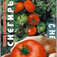 Купить семена Томат Снегирь