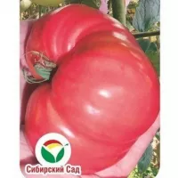 Томат Советский