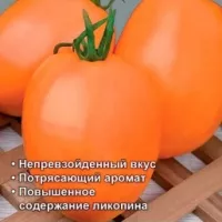 Купить семена Томата Таежное золото