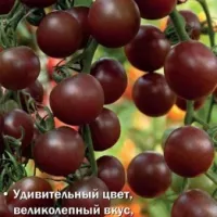Купить семена Томат Темрюк F1