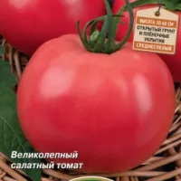 Купить семена Томат Торбей F1