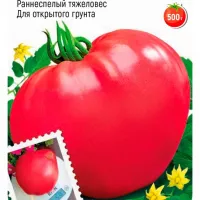 Купить семена Томат Тяжеловес Сибири
