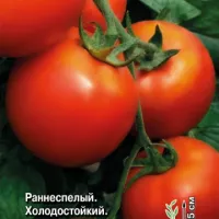 Купить семена Томат Взрыв