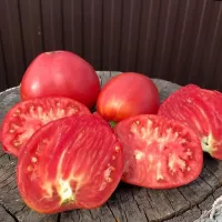 Купить Томат Задница обезьяны