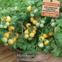 Купить Томат Желтая шапочка