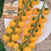 Купить семена Томат Златовласка