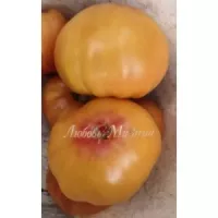 Купить семена Томат Гном Фероковкай