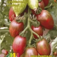 Томат Конфеты Сладкие сосульки