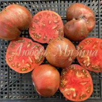 Купить семена Томат Кровавая Луна