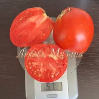 Купить семена Томат Бочковой минусинский красный