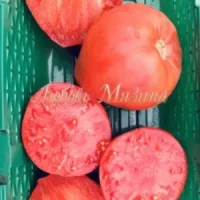 Купить семена Томат Минусинский домашний