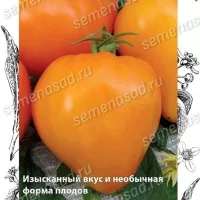 Томат Лискин нос (Оранжевое сердце) 5 шт