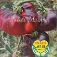 Купить семена Томат Убеждение