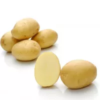 Купить семена Картофель Лада