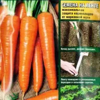 Купить Морковь Канада на ленте