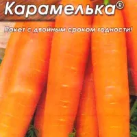 Купить Морковь Карамелька в пакетах