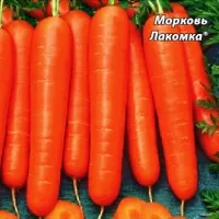 Купить Морковь Лакомка в гранулах
