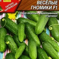 Купить Огурец Веселые гномики F1