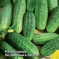 Купить Огурец Засолочный