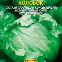 Купить семена Салат Колобок