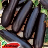 Купить семена Баклажан Алёшка F1 сверхранний холодостойкий