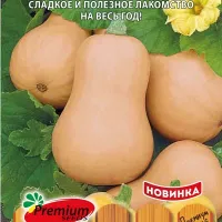 Купить семена тыквы мускатной Бабуля