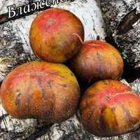 Купить семена томата Блаженство