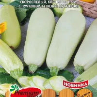 Купить семена Кабачок корнишонный Внучок