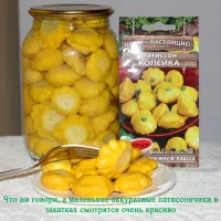 Купить семена Патиссон Копейка (Мини патиссон)