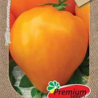 Купить семена томата Медовое сердце