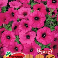 Купить семена Сурфиния Подружка невесты