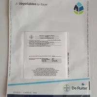 Купить семена Подвой РС 841 F1 Seminis для огурцов и арбузов