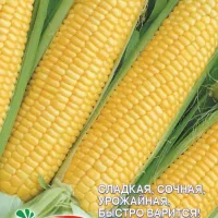 Купить семена Кукуруза сахарная Королева