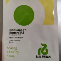Купить семена огурец Илонара