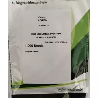 Купить семена огурец Корвин