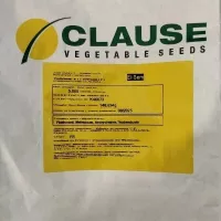 Купить семена кукуруза Турбин