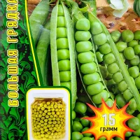 Купить семена Горох Бондюэль сахарный
