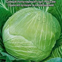 Купить семена капусты Слава 1305