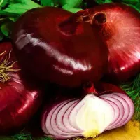 Купить семена лук репчатый Ялтинский плюс