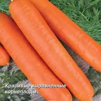 Купить семена Морковь Самсон