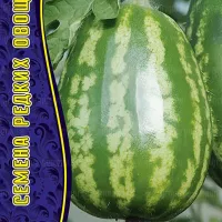 Купить семена Огурдыня Арбуз