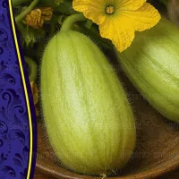 Купить семена Огурдыня Манго
