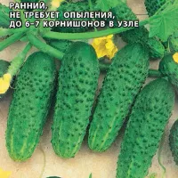 Купить семена Огурец Герман F1